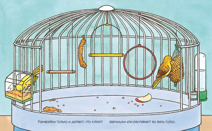 Домашние питомцы