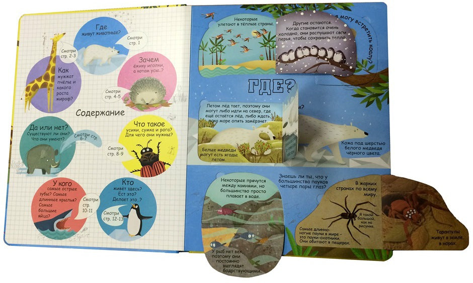 Вопросы и ответы о животных