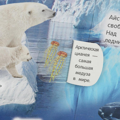 Животные. 50 окошек для малышей. 200х260 мм. 10 картонных страниц. Умка в кор.50шт
