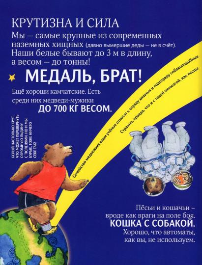 Чем хороши медведи