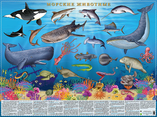 Морские животные. Цифры и факты.Настольное издание