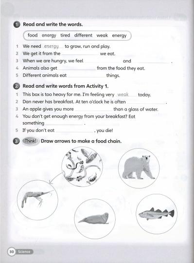 Super Minds 3 Workbook with Online Resources