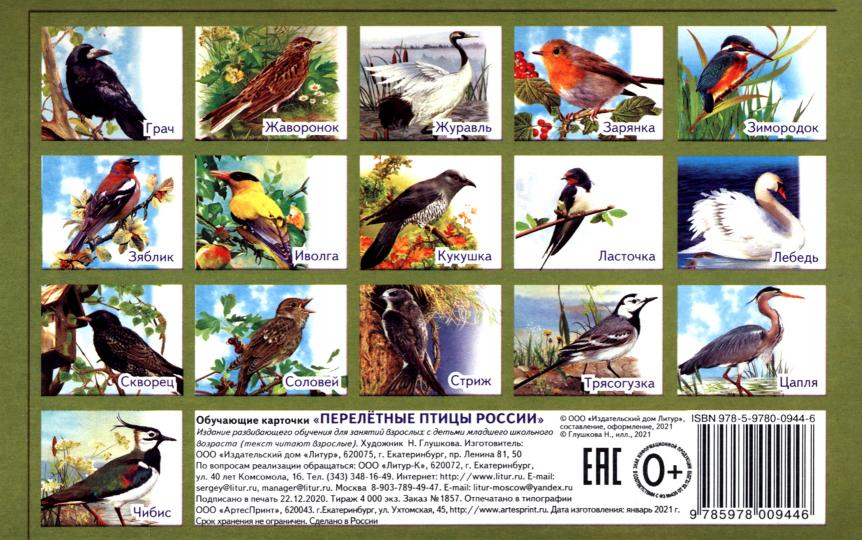 Карточки. Перелетные птицы России ; Карточки. Перелетные птицы России