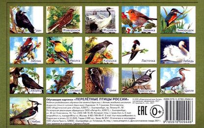 Карточки. Перелетные птицы России ; Карточки. Перелетные птицы России