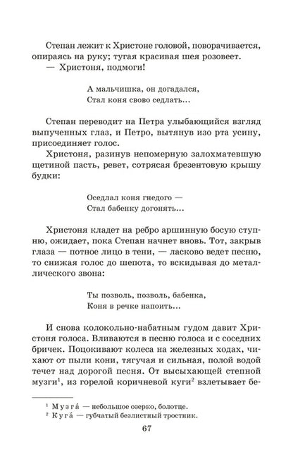 Тихий Дон: роман в 4 кн. Кн. 1