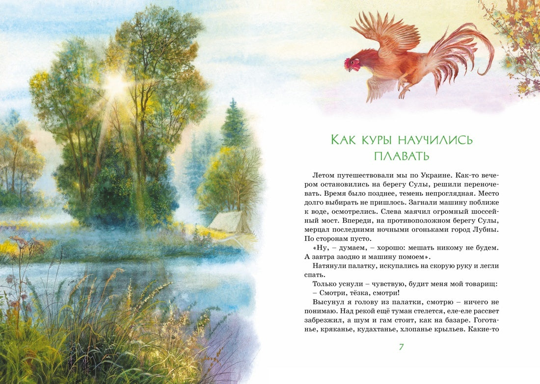 Зачем белке хвост. Рассказы