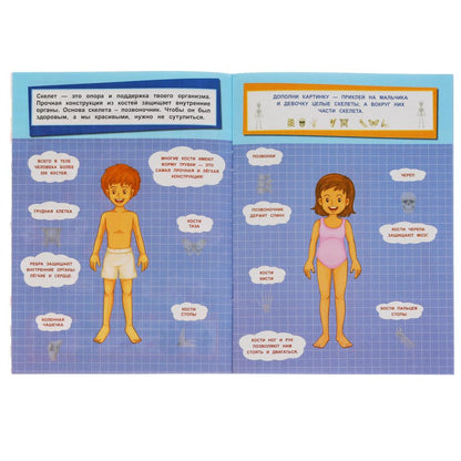"УМКА". ТЕЛО ЧЕЛОВЕКА. ДОПОЛНИ КАРТИНКУ, 35 НАКЛЕЕК. ФОРМАТ: 160Х215 ММ. ОБЪЕМ: 8 СТР. в кор.50шт