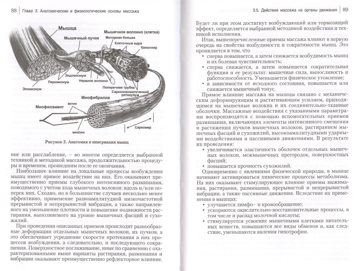 Классика массажа