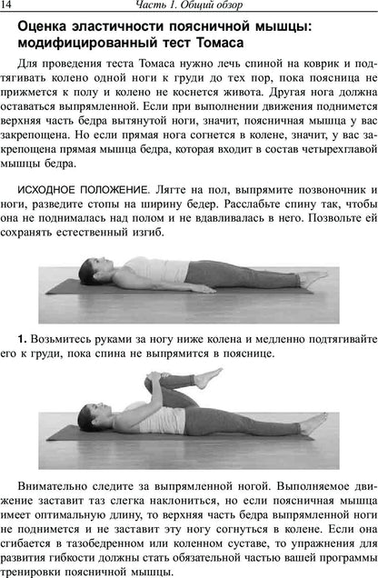 Поясница. Здоровье и гибкость