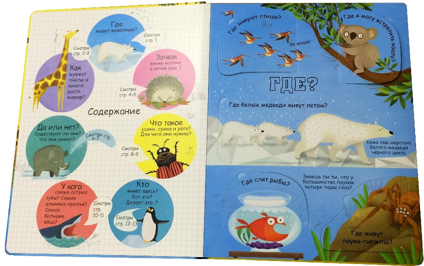 Вопросы и ответы о животных