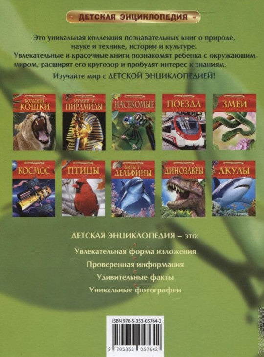 Насекомые. Детская энциклопедия