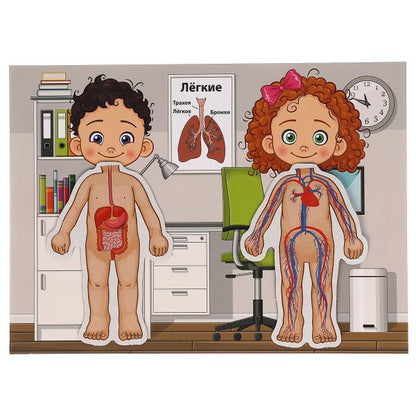 Тело человека. Игра с липучками в коробке. Умные игры в кор.20шт