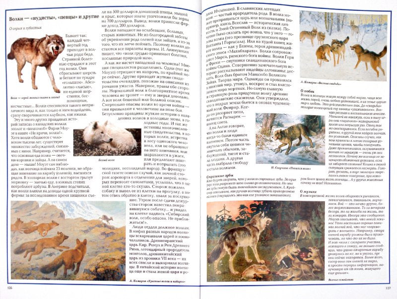 Загадки животного мира