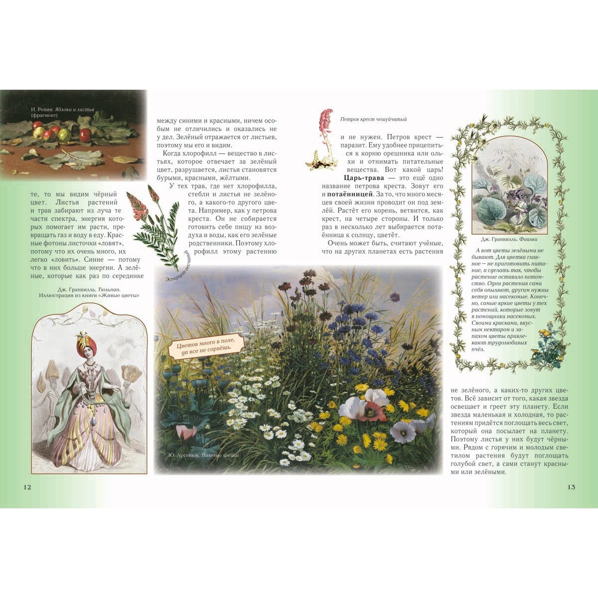 Детский травник