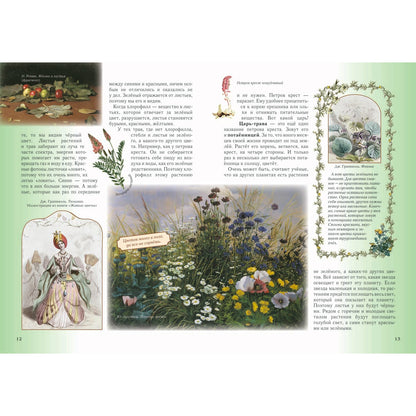 Детский травник