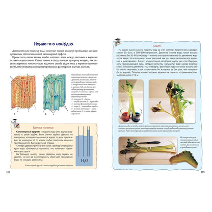 Biologie biologique avec soins et résolution