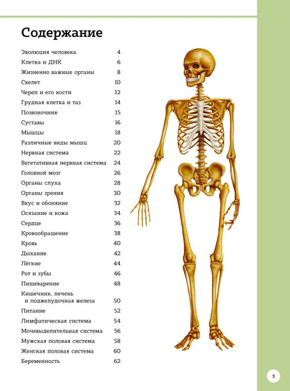Первый атлас анатомии человека