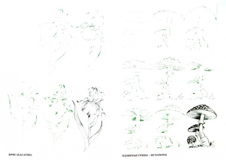Рисуем 50 цветов и деревьев