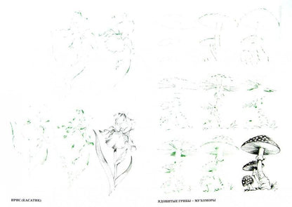 Рисуем 50 цветов и деревьев