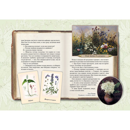 Солнце для кузнечиков. Олеськины рассказы