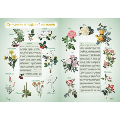 Откуда берутся слова, или Занимательная этимология. - 2-е изд.