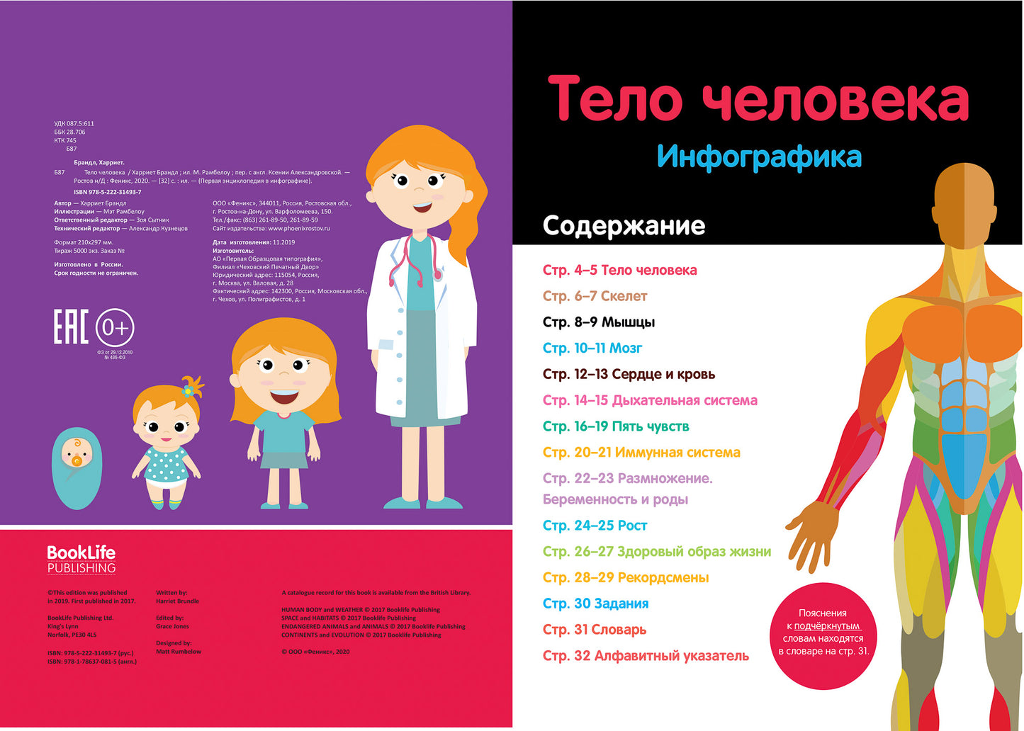 Тело человека: инфографика