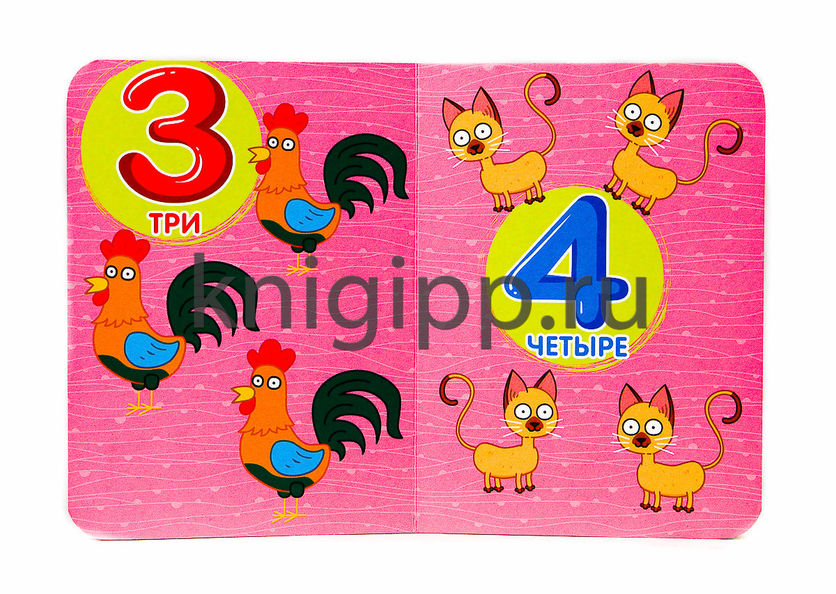 СИНИЙ ТРАКТОР. ЦК-МИНИ. СЧЁТ