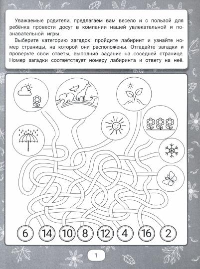IQ-загадки и лабиринты-отгадки: 5+