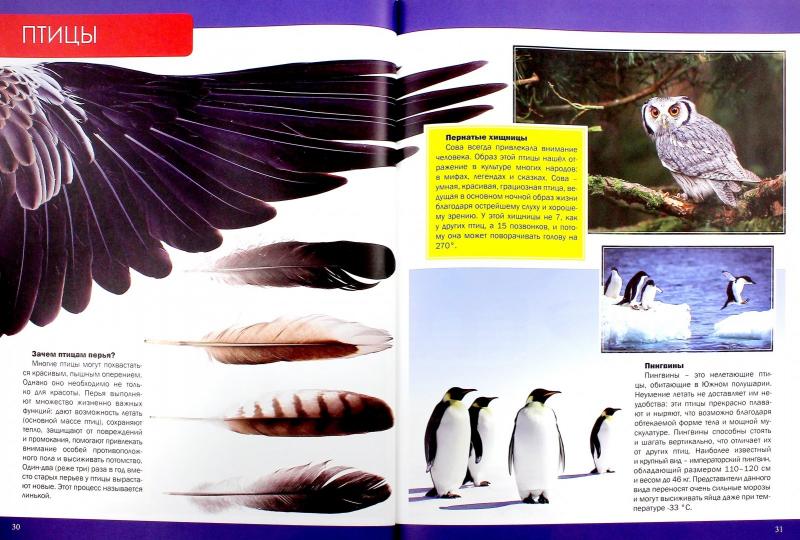 ЭНЦИКЛОПЕДИЯ В КАРТИНКАХ наша