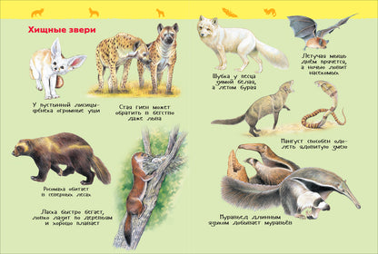 Дикие животные (Энциклопедия для детского сада)