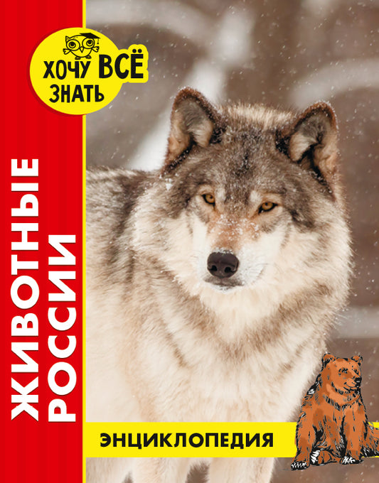 ЭНЦИКЛОПЕДИЯ. ХОЧУ ВСЁ ЗНАТЬ. красная. ЖИВОТНЫЕ РОССИИ