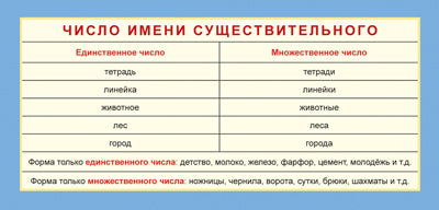 ШМ-13218 Карточка-шпаргалка. Число имени существительного (формат 61х131 мм)