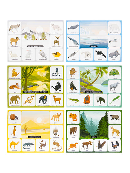 Лото "Кто где живет?" (большое)