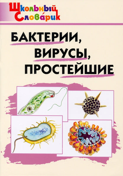 ШС Бактерии, вирусы, простейшие /Петрушина Е.С.