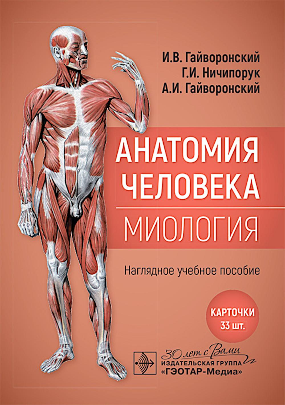 Анатомия человека. Миология. Карточки : очевидное учебное пособие
