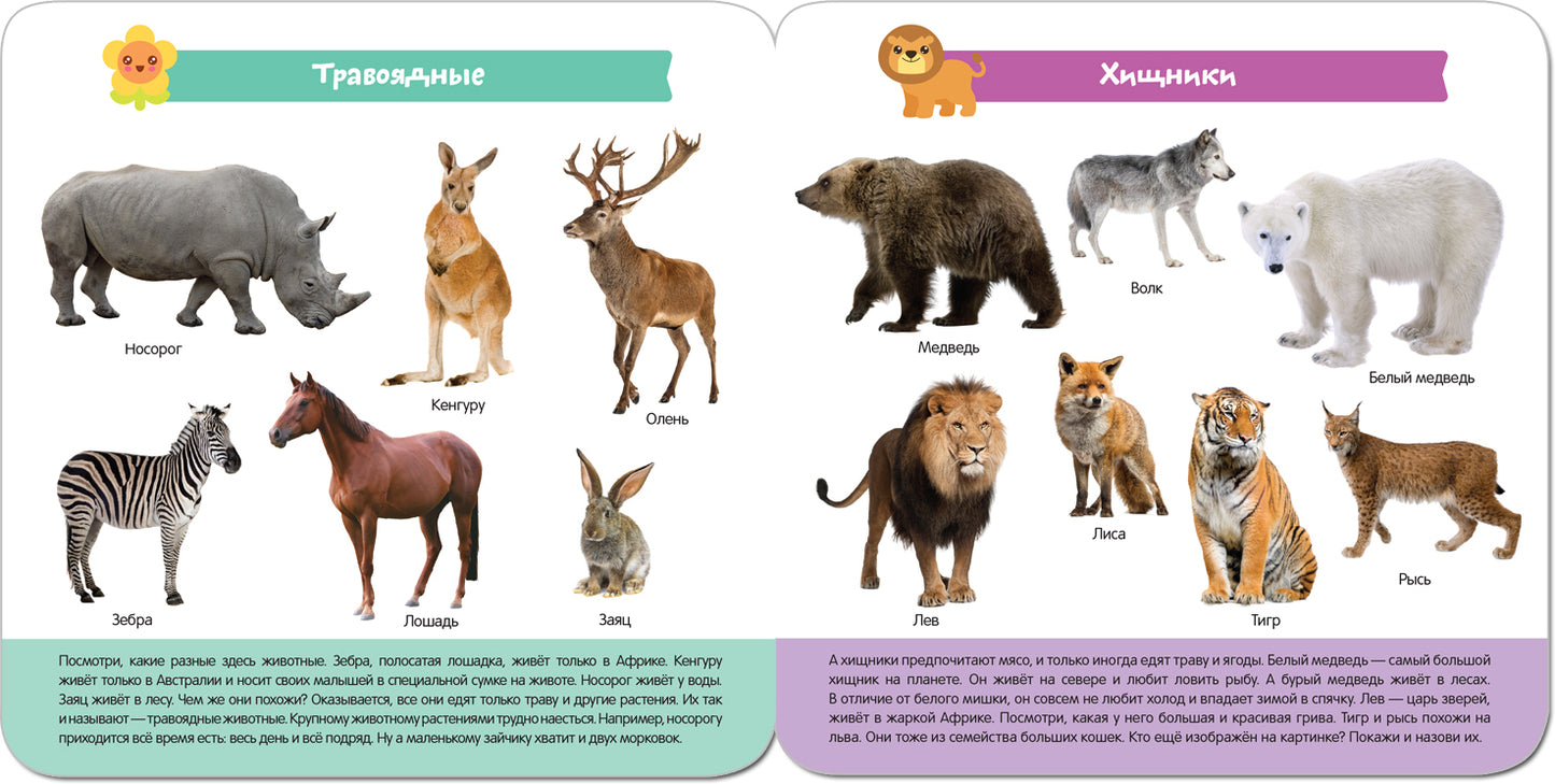 Малышарики. Курс раннего развития 3+. Мир животных