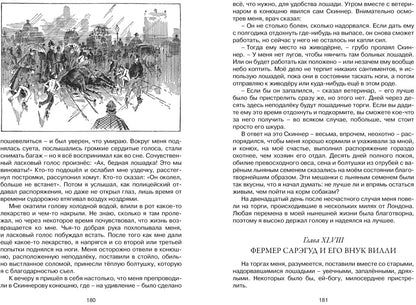 Чёрный Красавчик