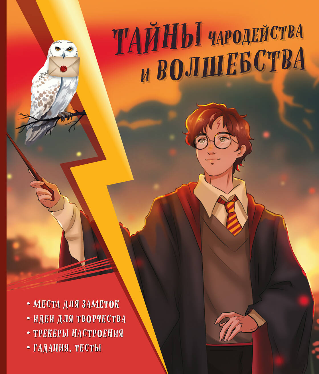 Ils sont en charge et en vol. Книга творчества и вдохновения (Гарри)