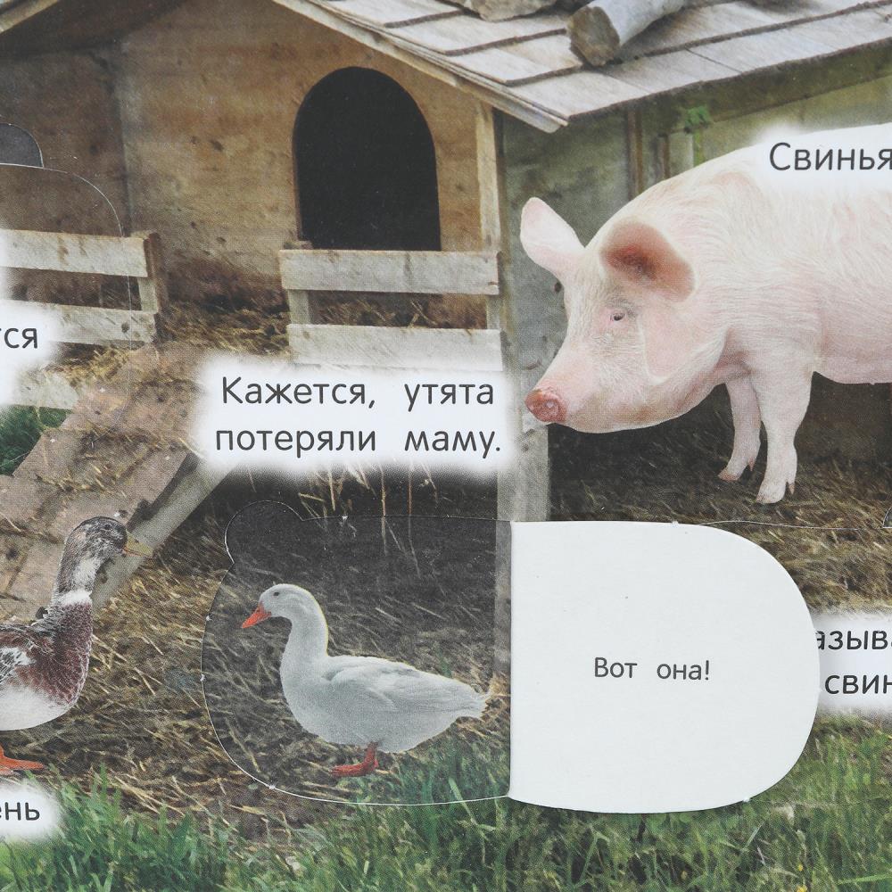 Животные. 50 окошек для малышей. 200х260 мм. 10 картонных страниц. Умка в кор.50шт