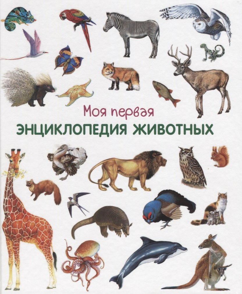 (Карт-П) Моя первая энциклопедия животных