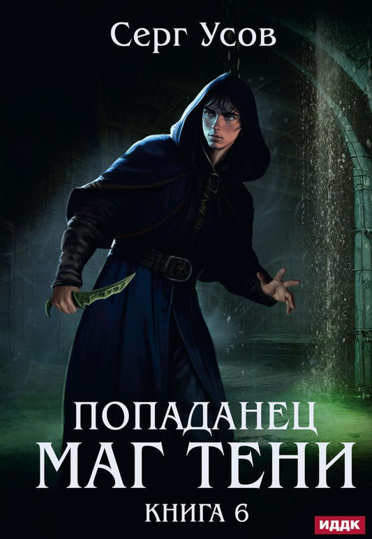 Попаданец. Маг Тени. Кн. 6