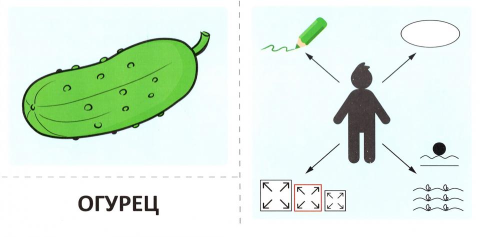 Набор карточек с рисунками. Речевые карточки. Описательные загадки. Овощи. Для детей 4-7 лет/ Танцюра С.Ю., Сатари В.В., Солдатова Л.Р.