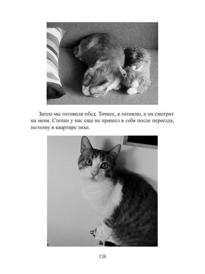 Кот, Домовой и Василий Иванович