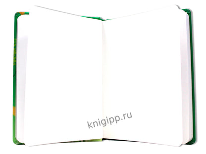 Gatto Rosso. СКЕТЧБУК 145х203. НЕВИННОСТЬ