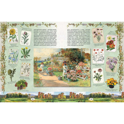 Из Зеленого Царства. Популярные очерки из мира растений