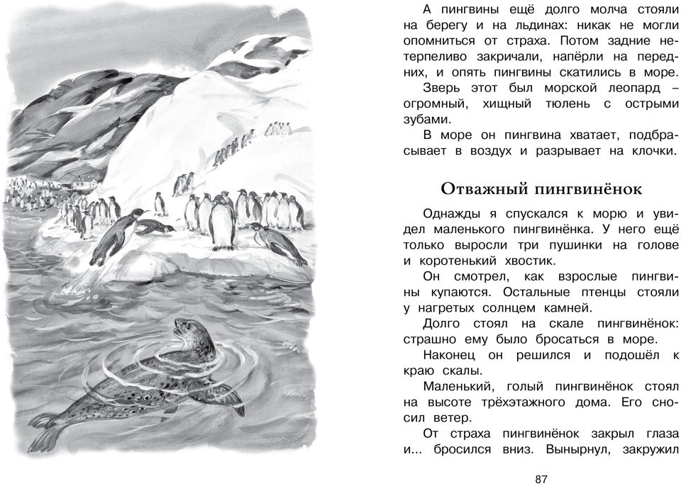 Беспокойный хвостик