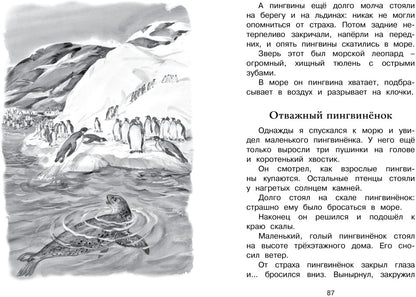 Беспокойный хвостик