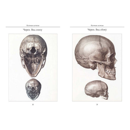 Атлас анатомии человека. Все органы человеческого тела. Grande collection