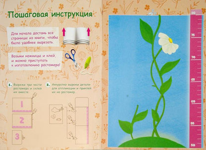 Ростомер-аппликация для девочек:книжка-мастерилка