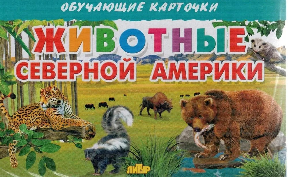 Карточки. Животные Северной Америки ; Карточки. Животные Северной Америки